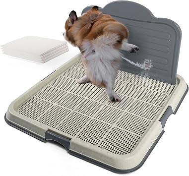 PAWISE Male Dog Pee Pad Holder with High Wall, 23.5"x23.5" Indoor Potty Tray for Medium/Large Dogs, Reusable Large Training Pad Holder with Splash Guard, Includes 4 Pee Pads, Anti-Slip & Easy to Clean