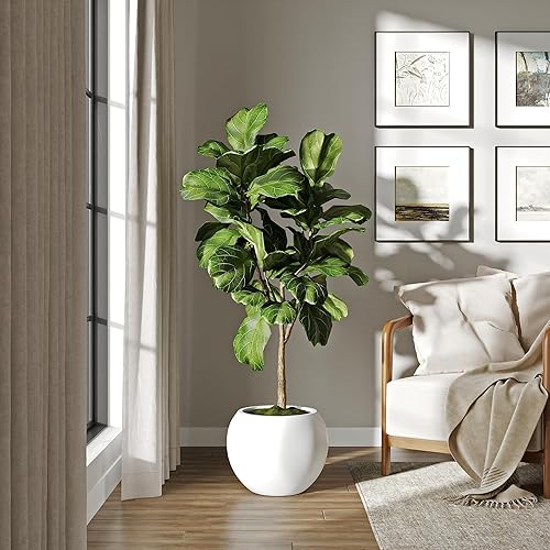 Miniatura 9 de DTY Signature Mount Sherman - Maceta de fibra de 1 pieza para interiores y exteriores, color blanco, 17 pulgadas de alto x 21 pulgadas de diámetro