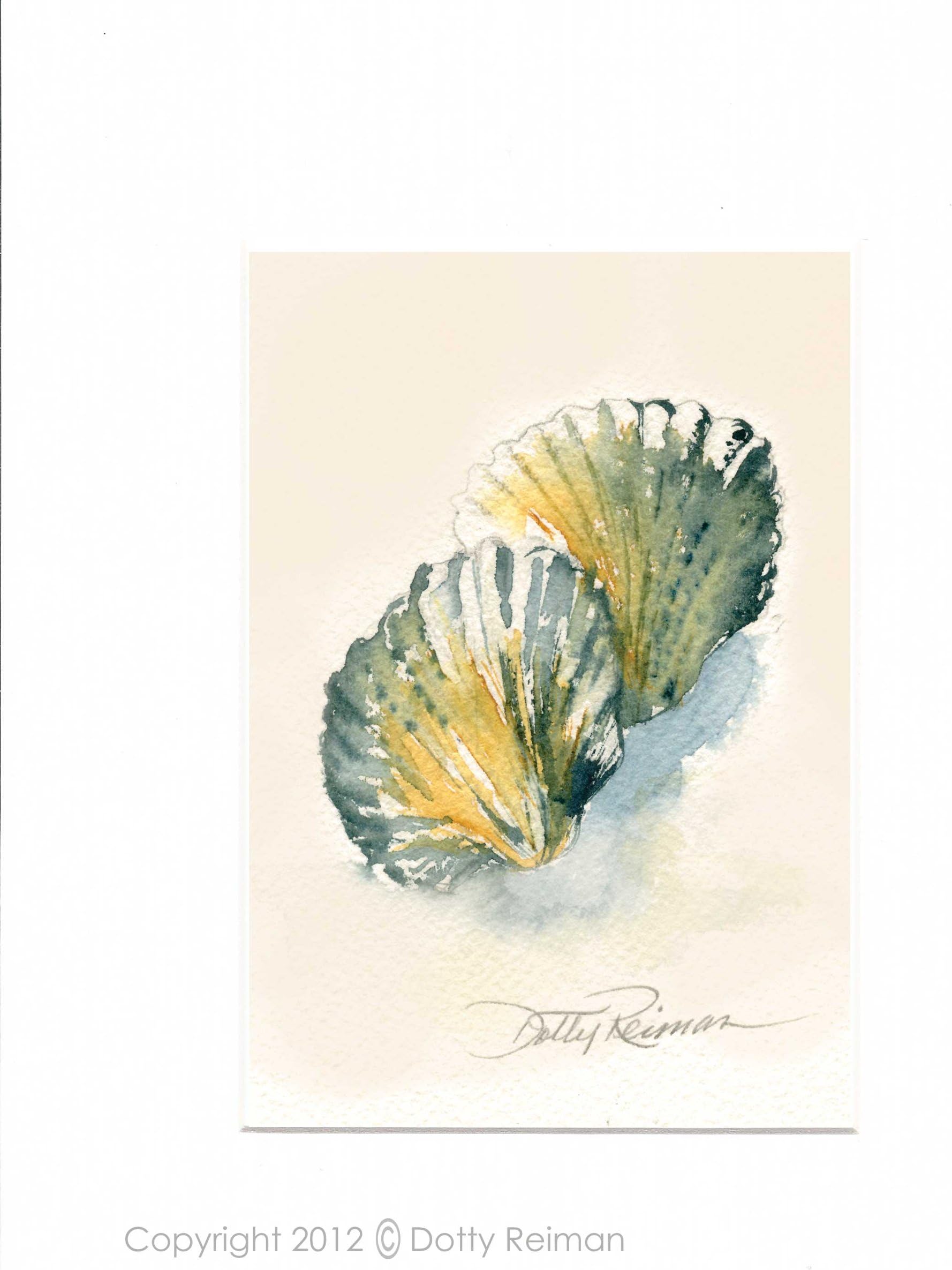 Seashell Art 5 x 7 inch Print by Dotty Reiman - Fits into an 8 x 10 inch Frame