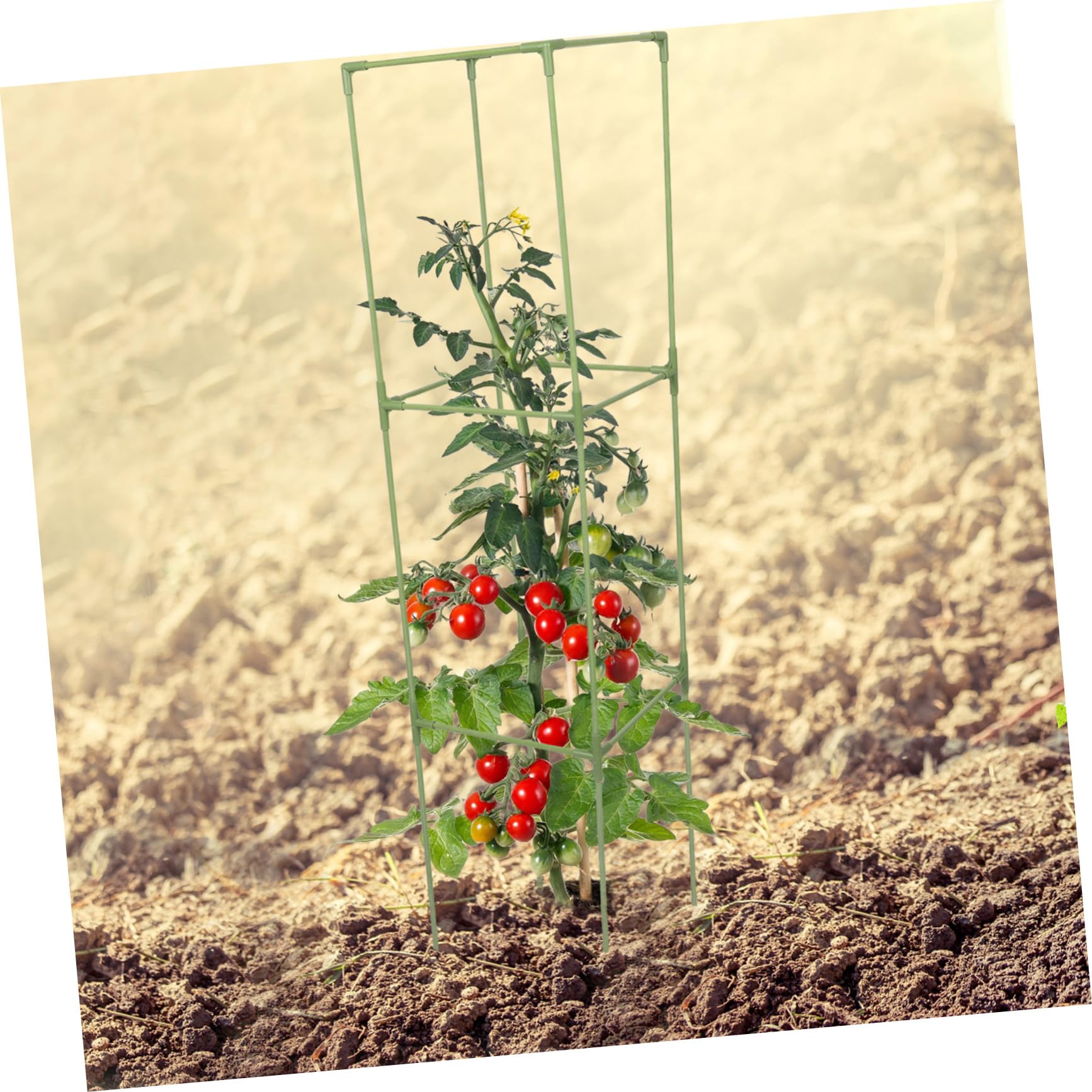 Support de Plantes réutilisable Cadre Support des aubergines Stand de Soutien des Plantes Soutien à la Vigne Treillis Potager de l'usine Rack d'escalade Green