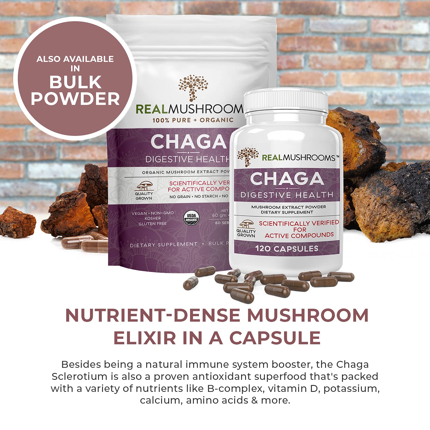 Real Mushrooms Chaga Capsules for Digestive Health and Immune Support
