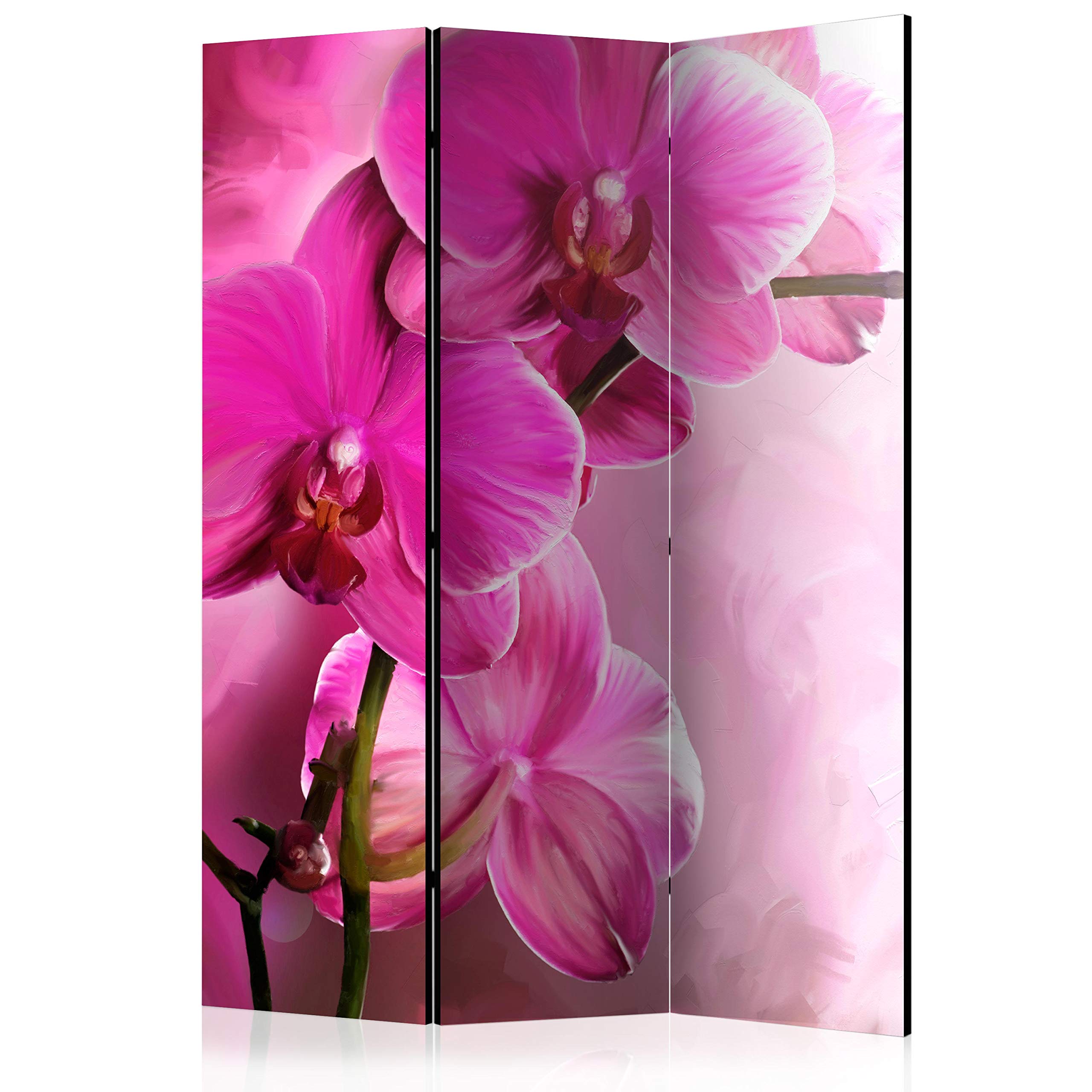 murando - Paravento da Interno 3 Pannelli, Separe Divisorio, 135x172 cm | 3 Pannelli Decorativi, Stampa su Un Lato, Tela in TNT, Pronto all'Uso, Separatore per Camera da Letto, Produzione EU