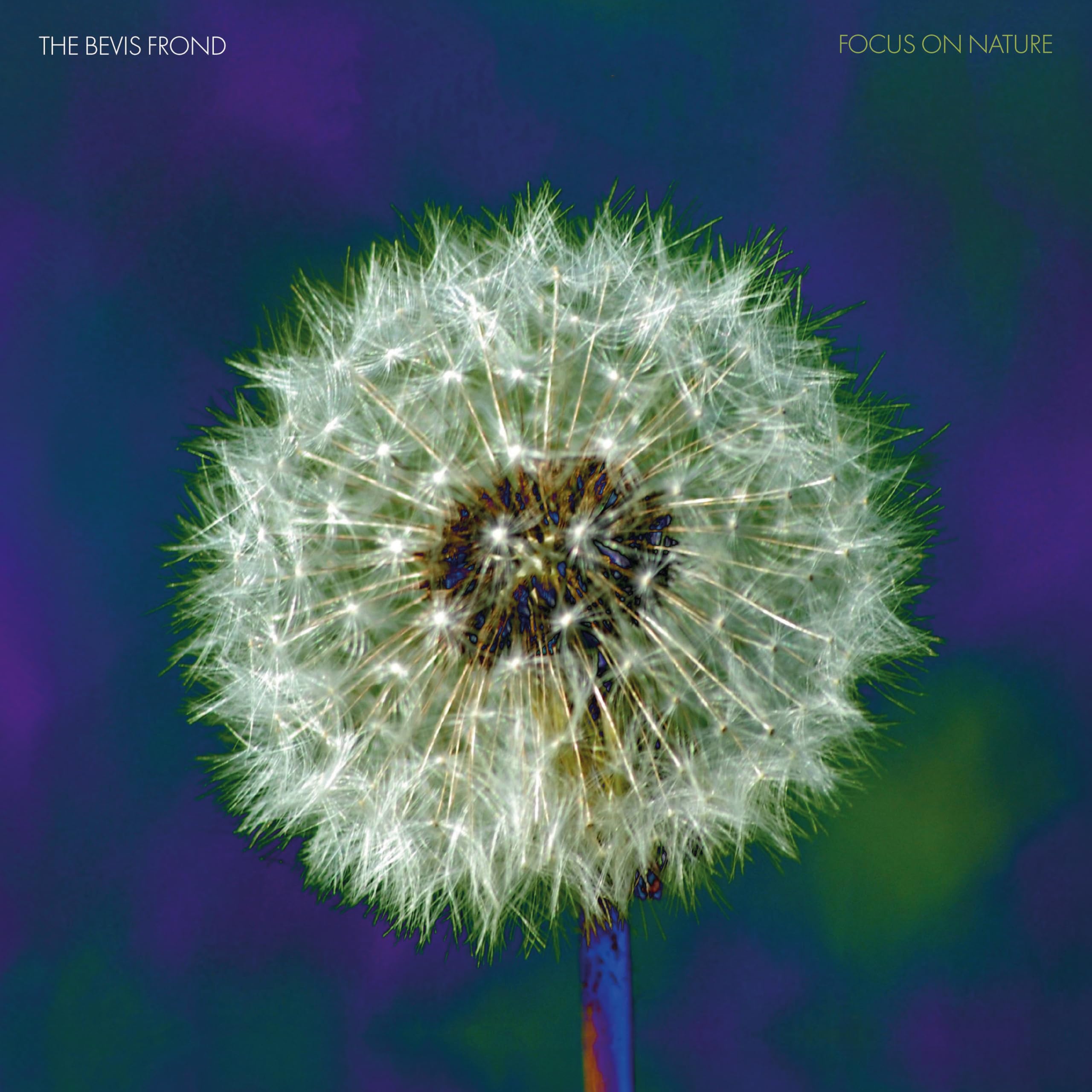 Focus On Nature [VINYL]
