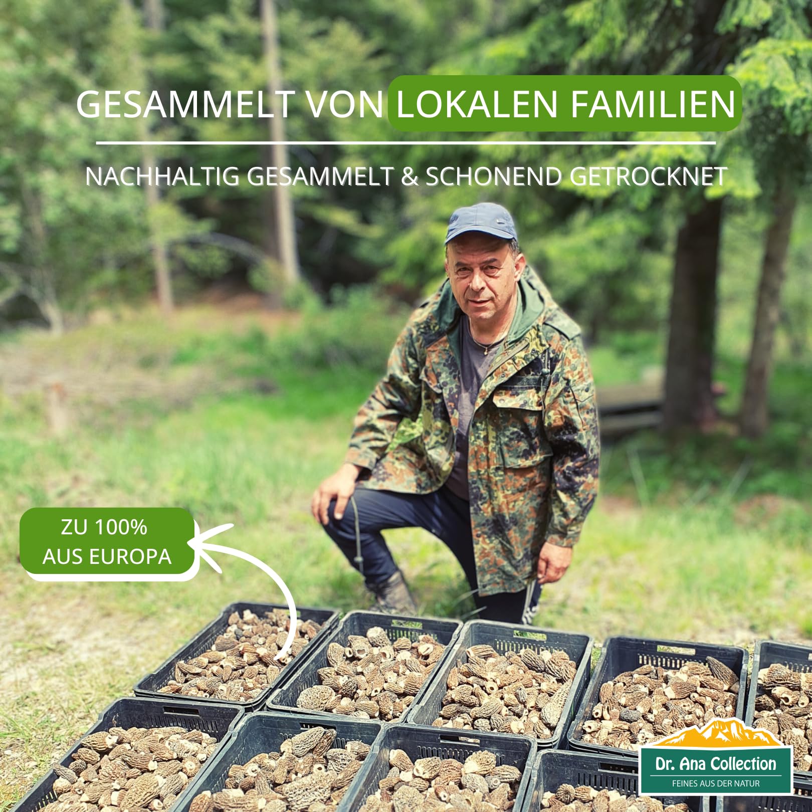 Dr. Ana Collection - getrocknete Spitzmorcheln ganze Köpfe (50g) | ohne Zusatzstoffe - 100% naturbelassen | aus europäischer Wildsammlung | Spitzenqualität