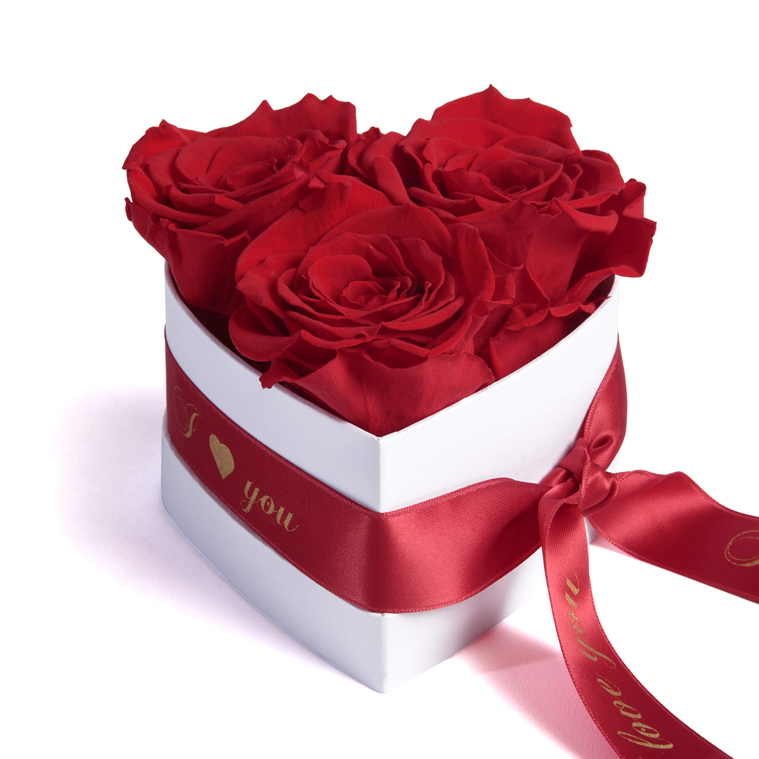 Rosemarie Schulz Heidelberg Infinity Rosenbox Herz 3 Konservierte Rosen in Box - Haltbar 3 Jahre 10x12cm - Liebeserklärung Herz Geschenke für Frauen Valentinstag und Frauentag (I Love You, Rot)