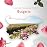 HBNO Organic Rosewater - 32 oz (950ml) Value Size - Ideal for Face Mists, Room Sprays, Fragrances, Candles, Makeup Fixers, Face wash, Lotions, and Skin Care Products.