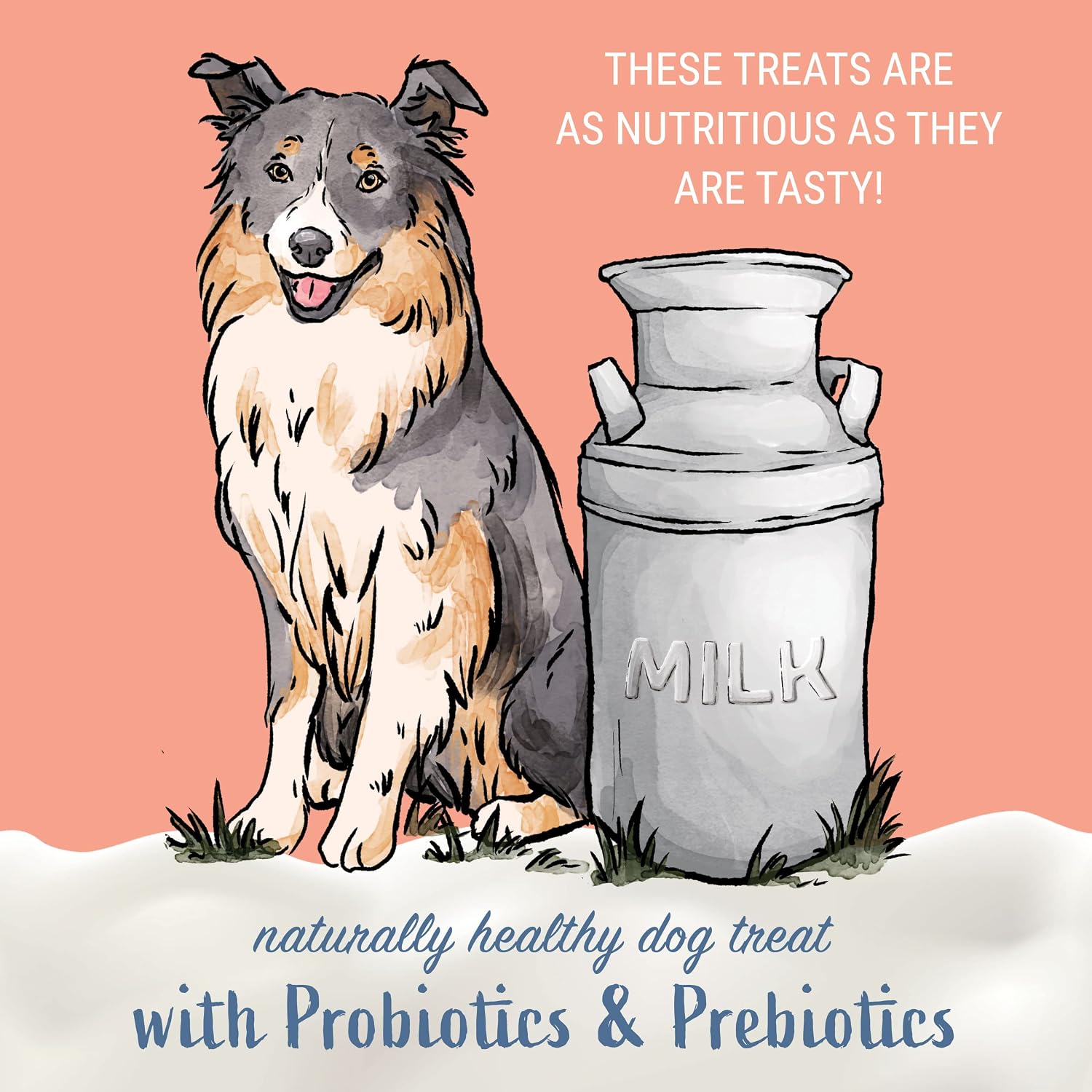 Himalayan Dog Chew Yogurt Sticks, Bacon Flavor, 5 Pieces, Pack of 4 | Prebiotic & Probiotic | Grain-Free | USA Made