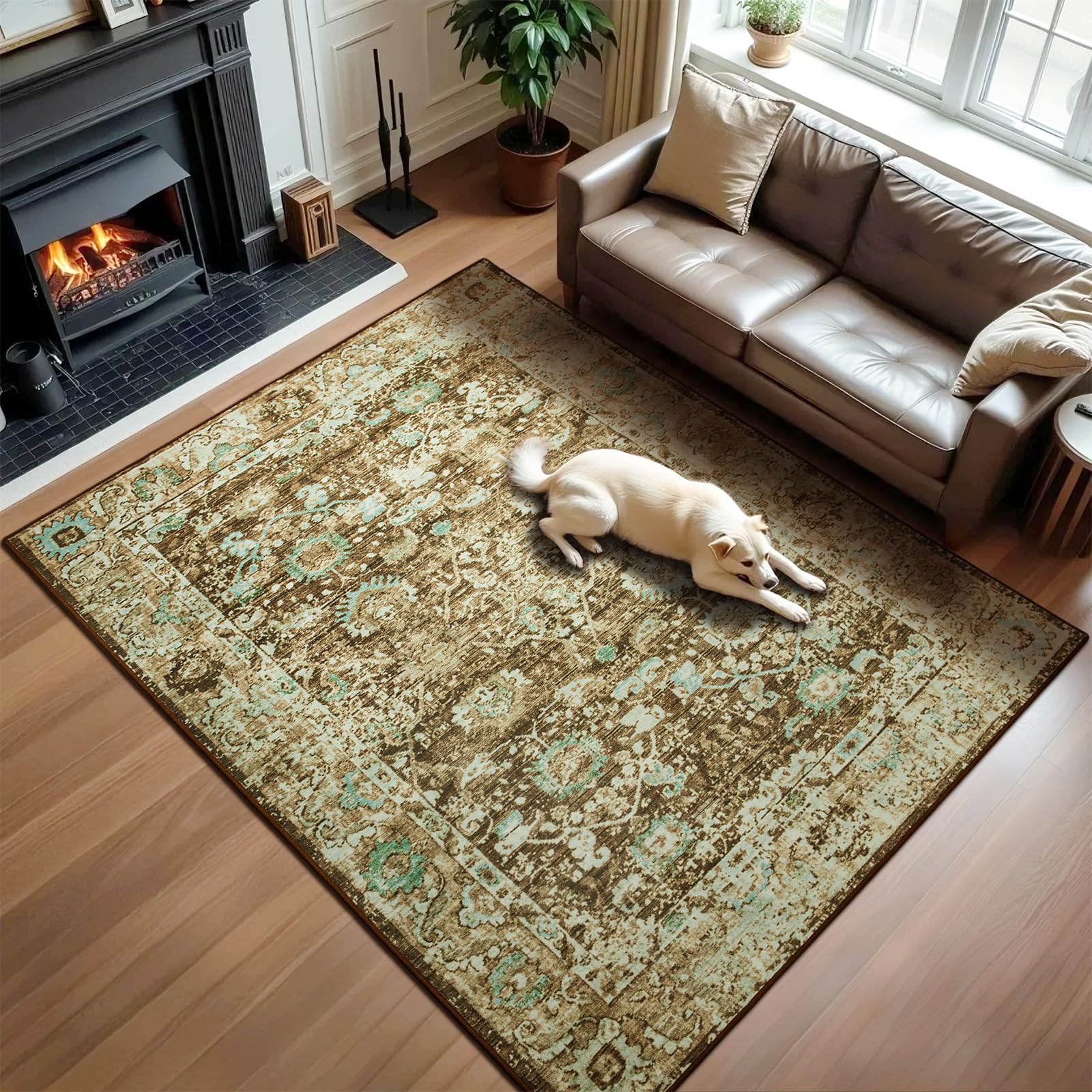 Andecor Living Room Area Rug, 4x6 Washable Rugs Perfect for Bedroom, Kids Room, Nursery, Dining Room, Foldable Low Pile Non-Slip, Pet & Child Friendly