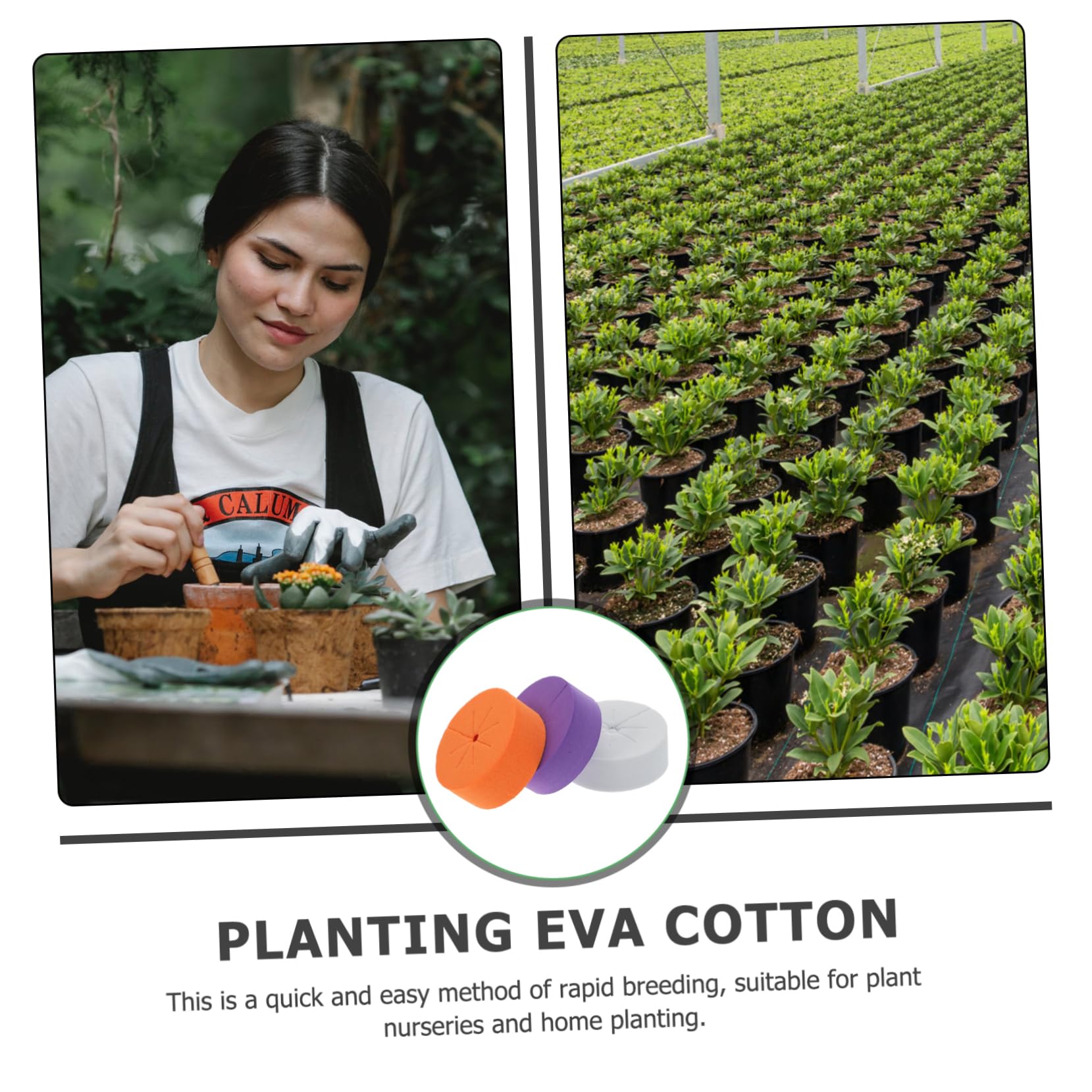 TOYANDONA Collares para Clones De Jardín Cultivo Sin Suelo, Bloques Redondos De Espuma Eva 120 Piezas, Esponja Transpirable Hidratante para Plantación Hidropónica y Trasplante Rápido