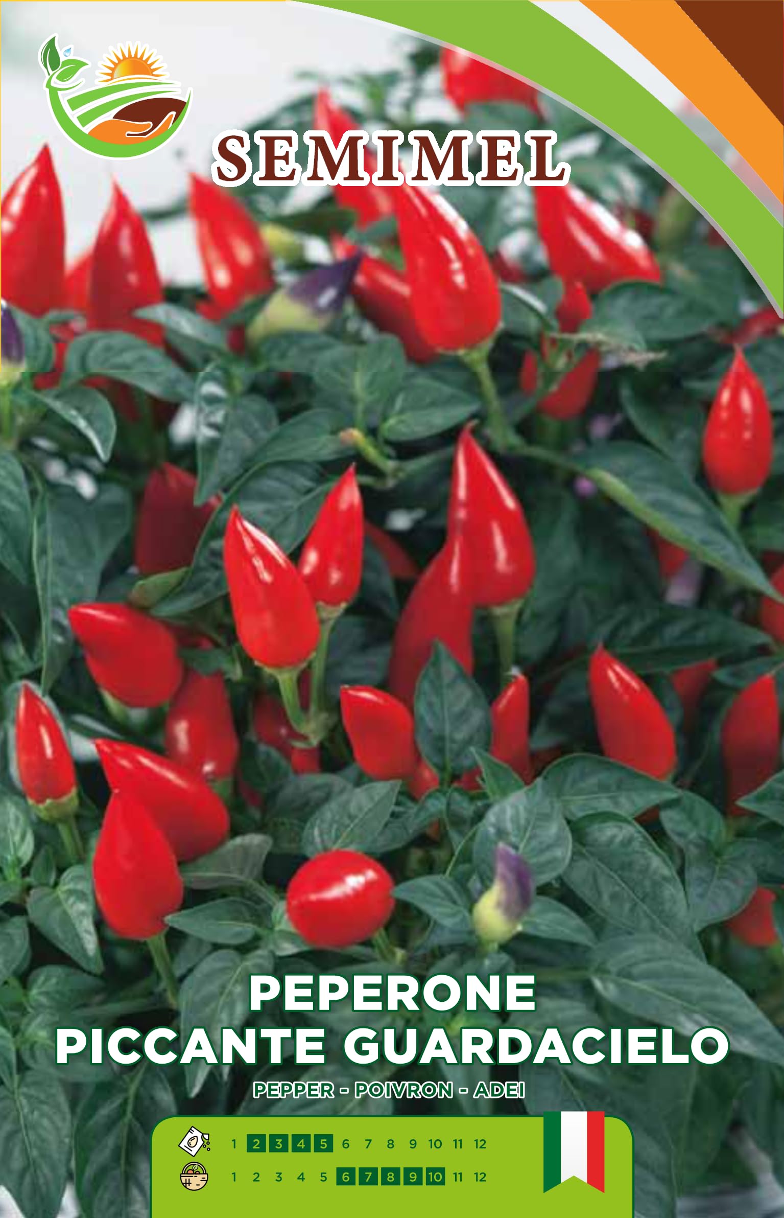 Peperone Piccante Guardacielo Varietà Precoce Pianta Compatta Frutti Conici Rossi Brillanti 2 Confezioni