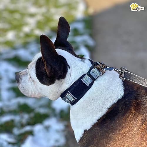 Miniatura 7 de ADITYNA - Collares de perro grandes ajustables de 2 pulgadas de ancho - Ribete reflectante y doble anillo en D para mayor seguridad - Material