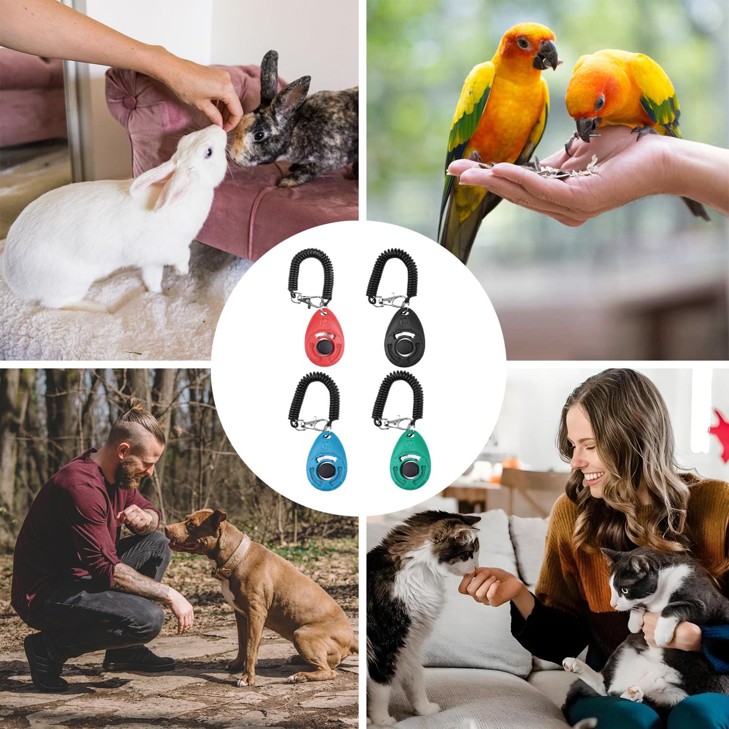 4 PCS Clicker per Cani,Clicker Addestramento Cani Formazione Clicker con Cinturino da Polso per Cane,Gatto,Cavallo (Rosso & Nero & Azzurro & Ciano)