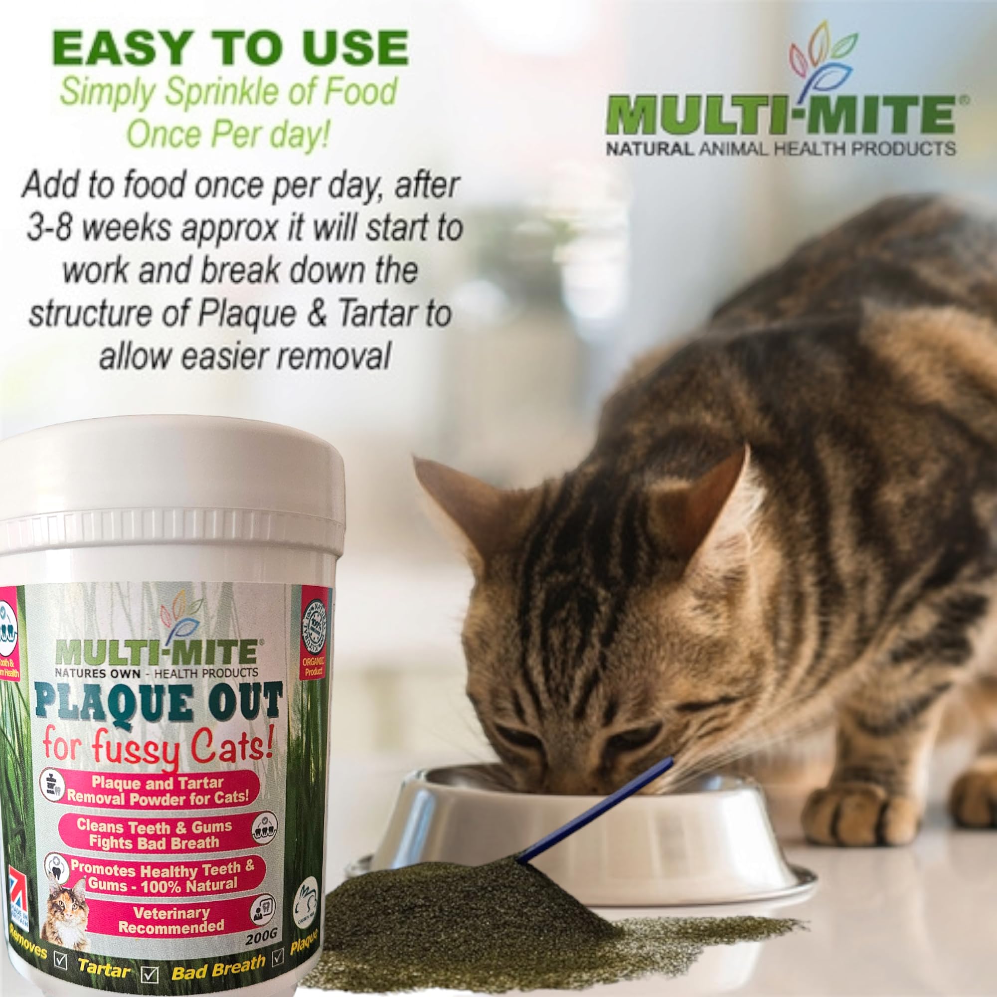 PLAQUE OUT for Fussy Cats 200g Pot, Plaque Off Remover, 100% Natural and Organic Seaweed Powder for Cats, Cat Teeth Cleaning - Image 3