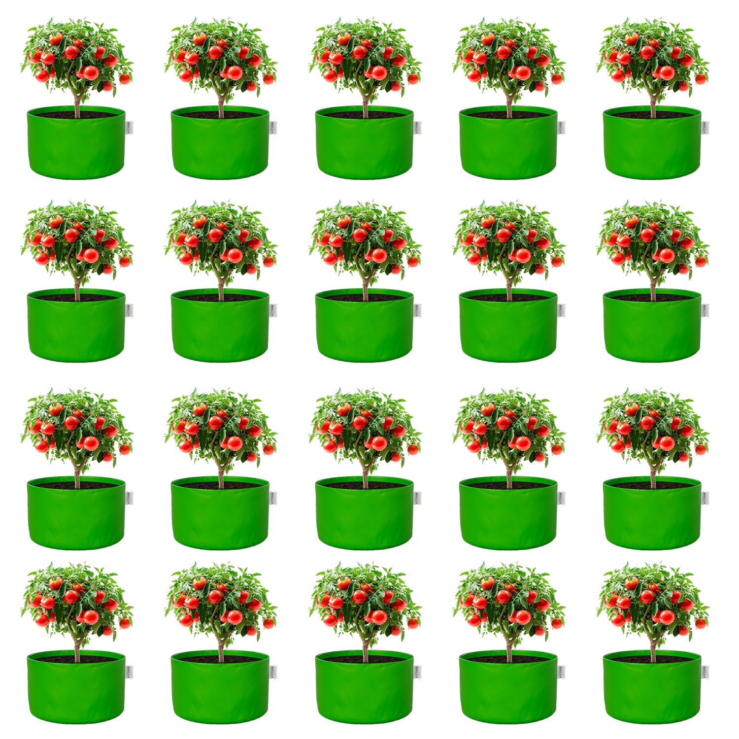 ORILEY Grow Bags - 2 Pack for Healthy Plants -24 ORILEY Grow Bags - 2 Pack for Healthy Plants -24