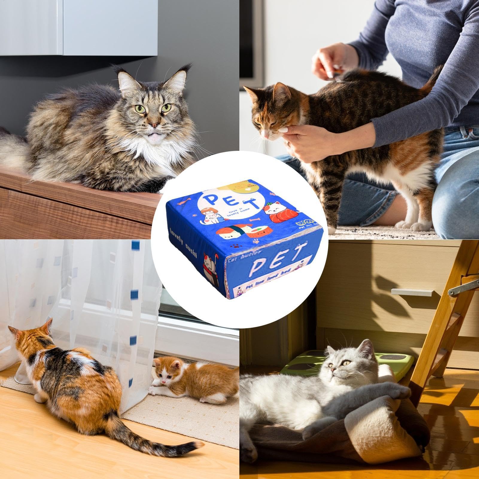 Letti per gatti interni, negozi di animali domestici, gatti per tutti i