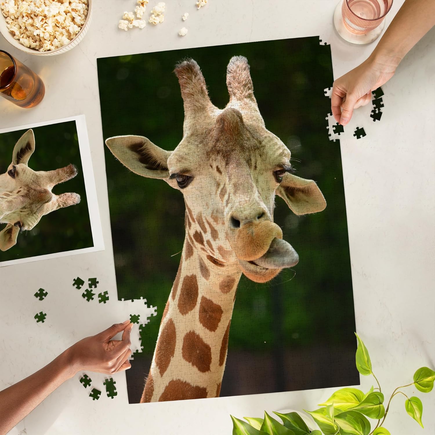 Giraffe Face (1000 Piece Puzzle, Challenging Jigsaw Puzzle for Adults, Made in USA)