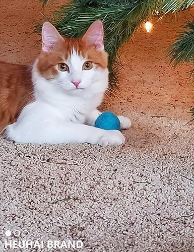 Miniatura 5 de Paquete de 40 pelotas para gatos - Divertidos juguetes interactivos para gatos y gatitos de interior (tiempo de juego)