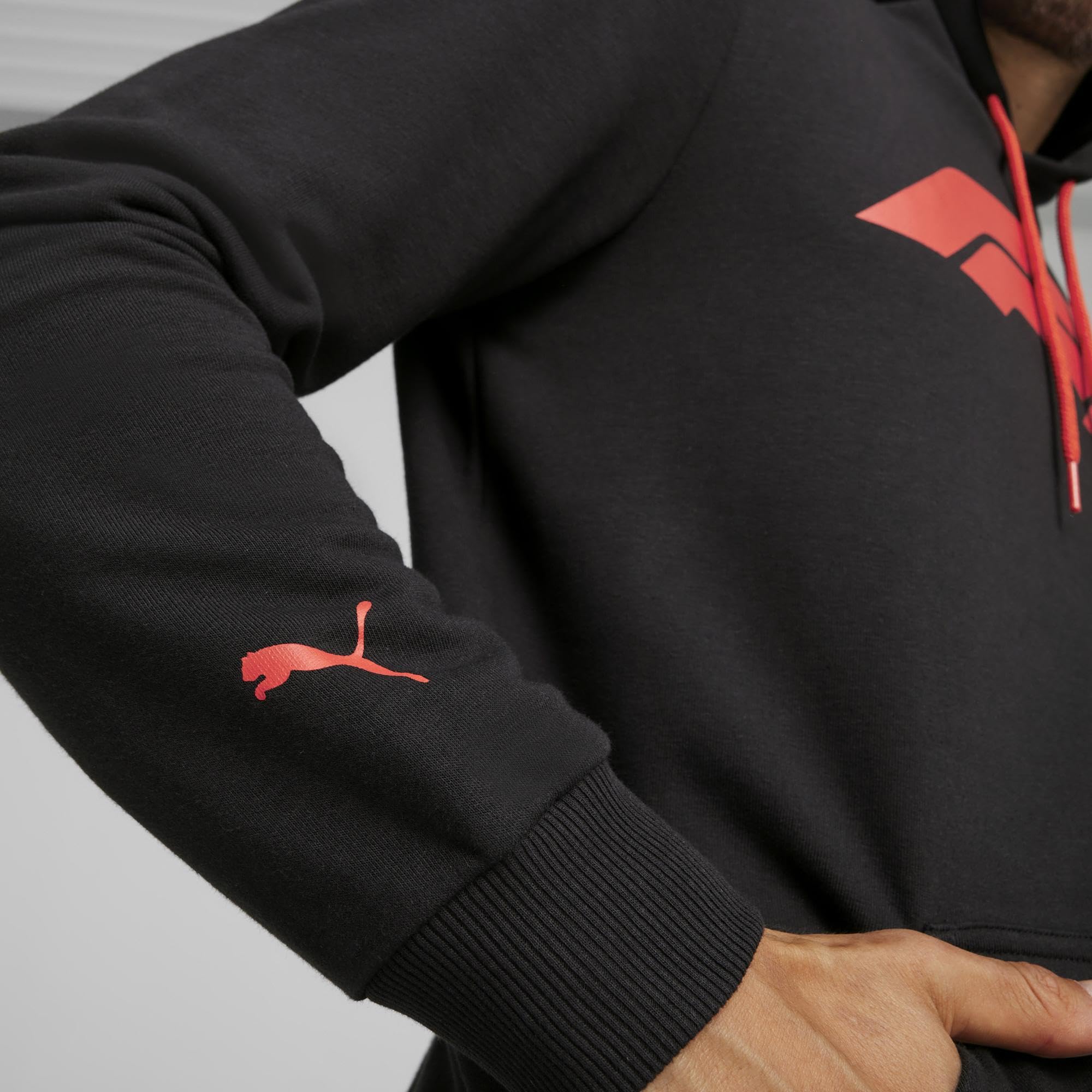 PUMA Bluzy z kapturem Mężczyźni F1 Ess Logo Hoodie (1 w zestawie)