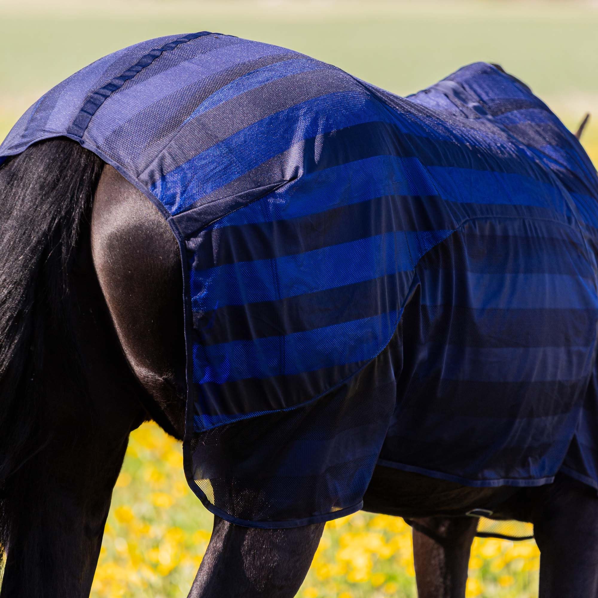Back on Track® - Manta Cool on Track® para caballos de refrigeración | Tejido de malla 3D / Material Cool on Track® | Color: Azul/Negro (155)