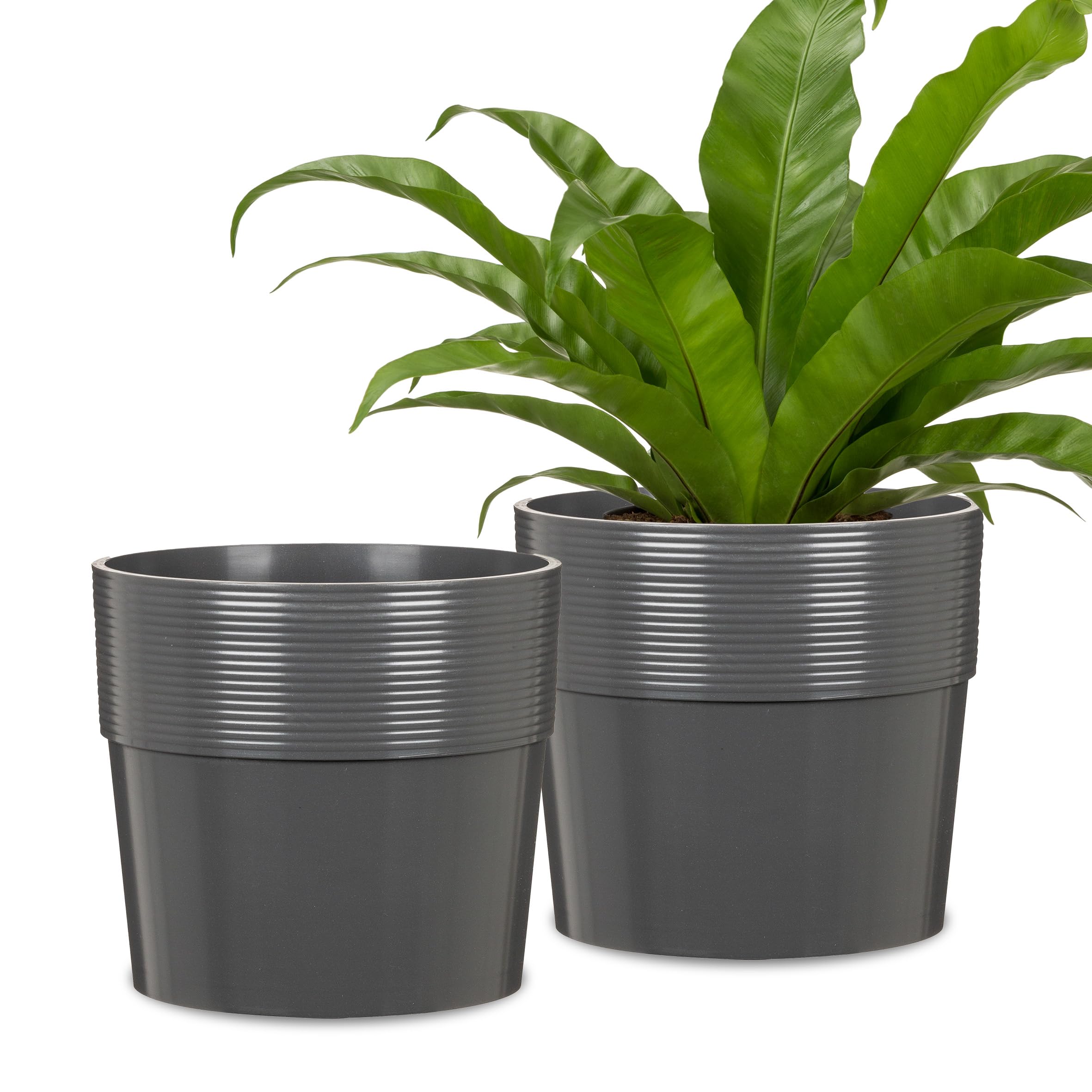 Amazon.com: Scheurich Set of 2 Groove 9.6, Planter/Flower Pot