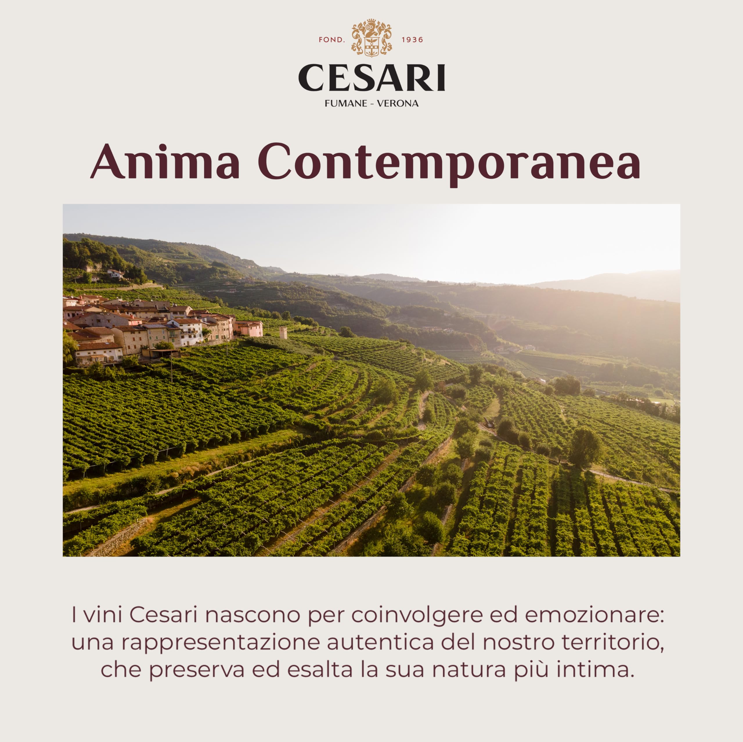 Cesari Amarone della Valpolicella Classico DOCG 2021 - Vino Icona, Elegante e Raffinato - 15% vol. - Bottiglia da 750 ml