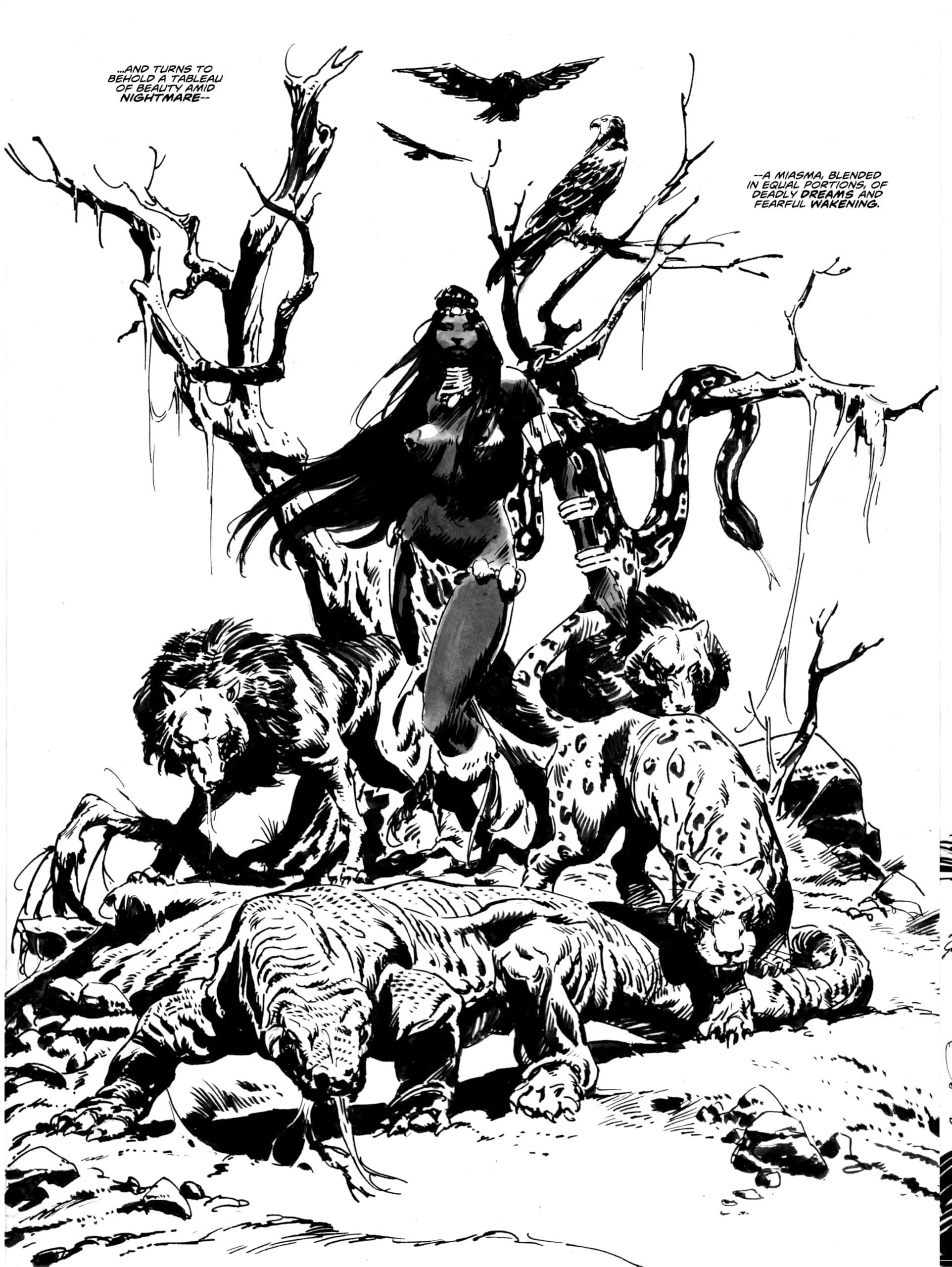 The Savage Sword Of Conan