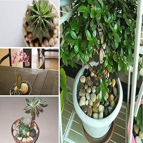 Miniatura 4 de 17.8 libras de ruibarbo de grava mixta irregular, decorativa pequeña grava pulida para plantas acuarios, piscinas, jarrón de vidrio de vidrio,