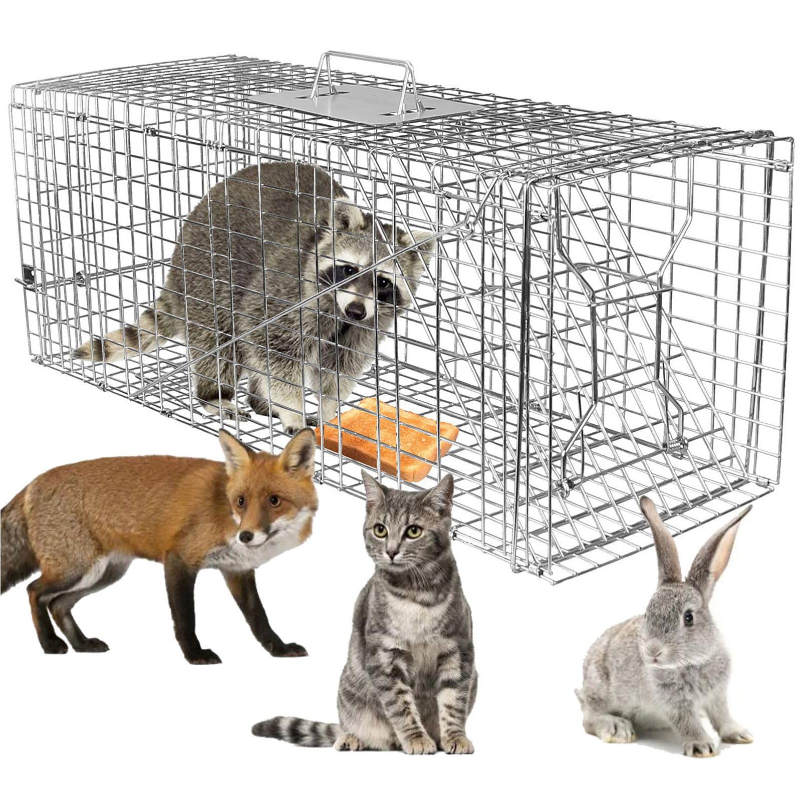 Large Live Animal Trap Cage, Foldable Heavy Duty Humane Rat Trap for Indoor and Outdoor, Metal Mouse Trap for Squirrel Gopher Chipmunk Mice Raccoon, Easy to Catch and Release, 31"x11"x12"