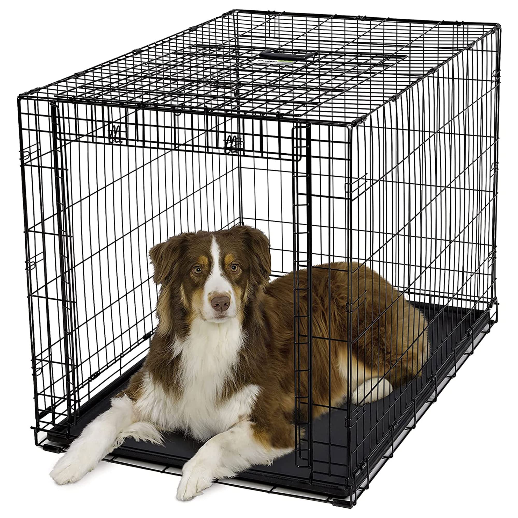 MidWest Homes for Pets Large Ovation Single Door Folding Dog Crate, 42-Inches, Space-Saving Patented Up & Away Door, Leak-Proof Pan, Divider Panel, Black