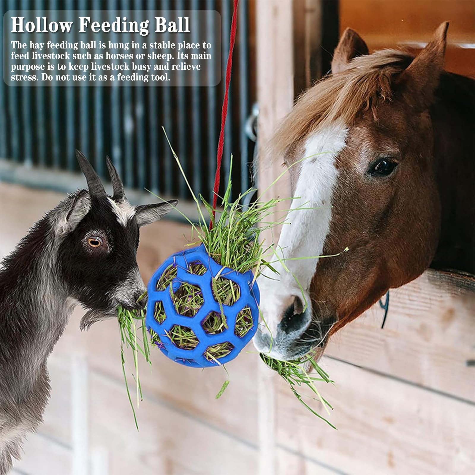 Palla Mangime Per Cavalli Blu - Giocattolo Appendibile Per Fieno | Antistress Per Cavalli, Capre E Pecore - Foto 2