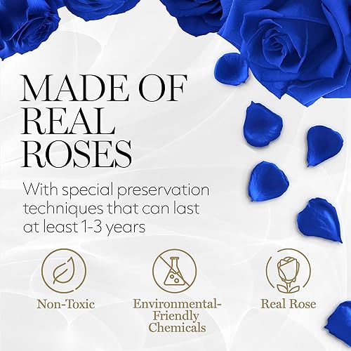 Miniatura 2 de GLAMOUR BOUTIQUE Rosas preservadas en una caja, regalos del día de San Valentín para ella y mamá, decoración de 4 rosas para regalo de cumpleaños,