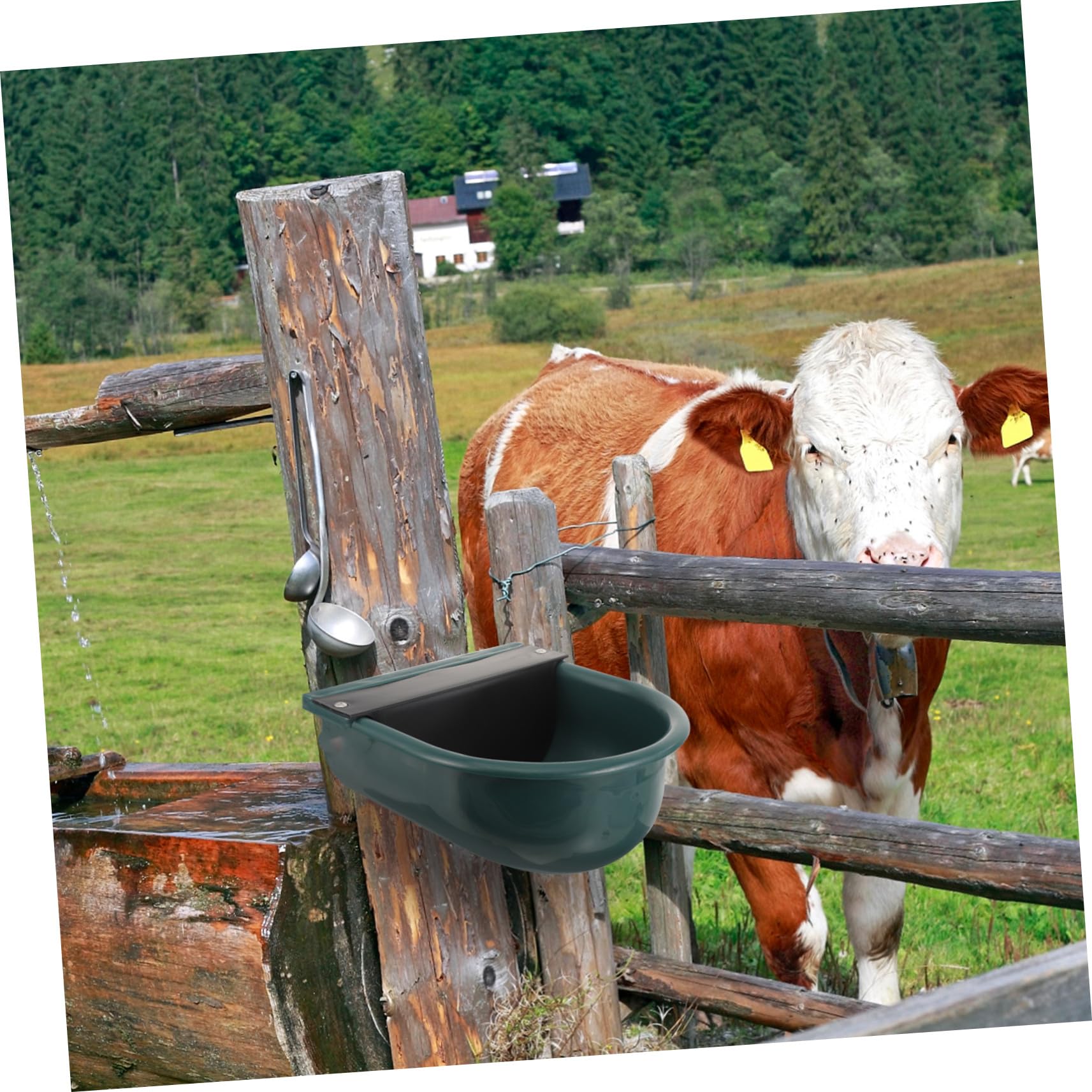 Levemolo Ciotola Abbeveratoio Automatica per Bovini e Ovini con Galleggiante Regolatore Capacità per Bestiame come Mucche Pecore e Maiali Facile da Usare e
