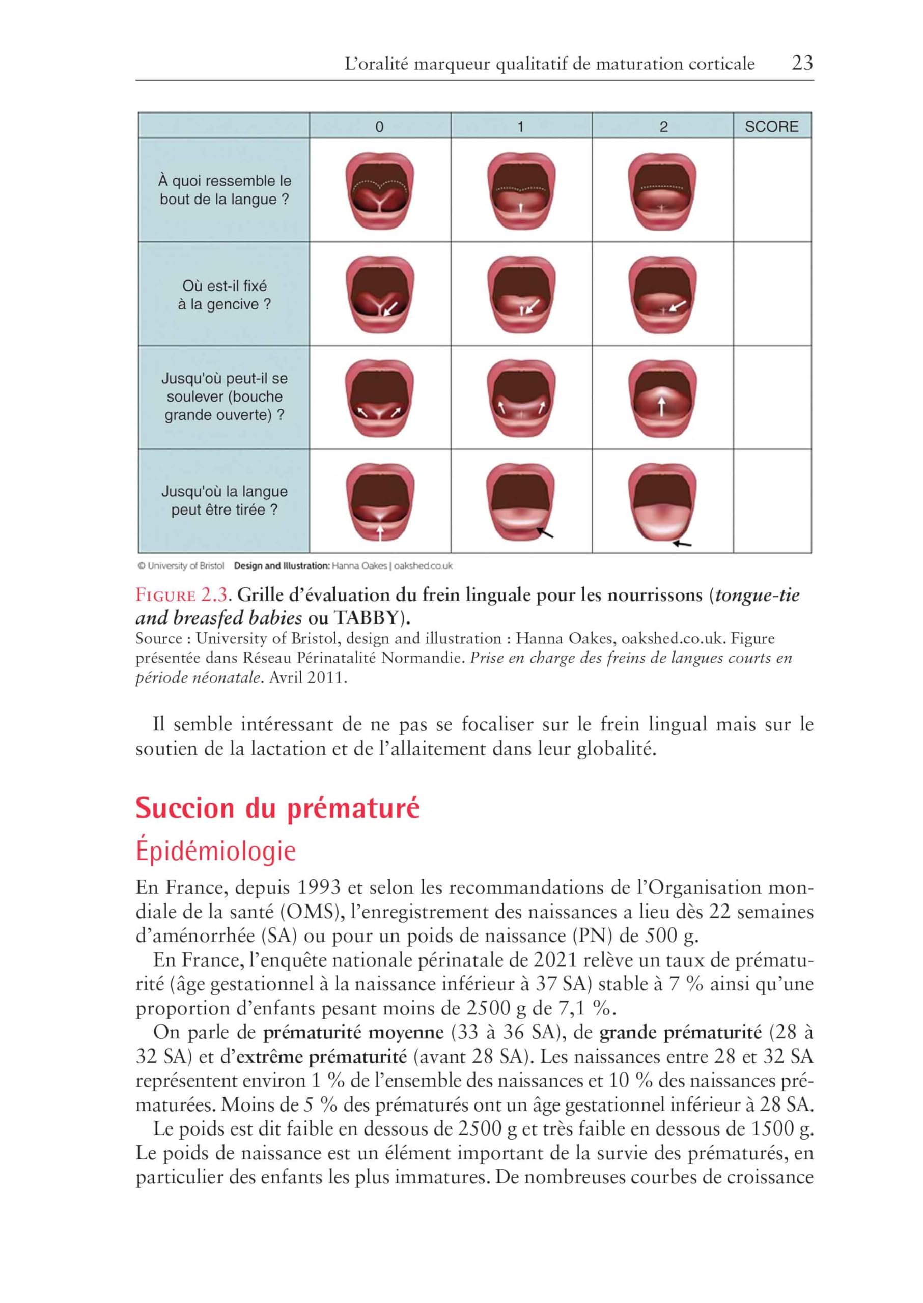 Orthophonie et oralité: La sphère orofaciale de l'enfant
