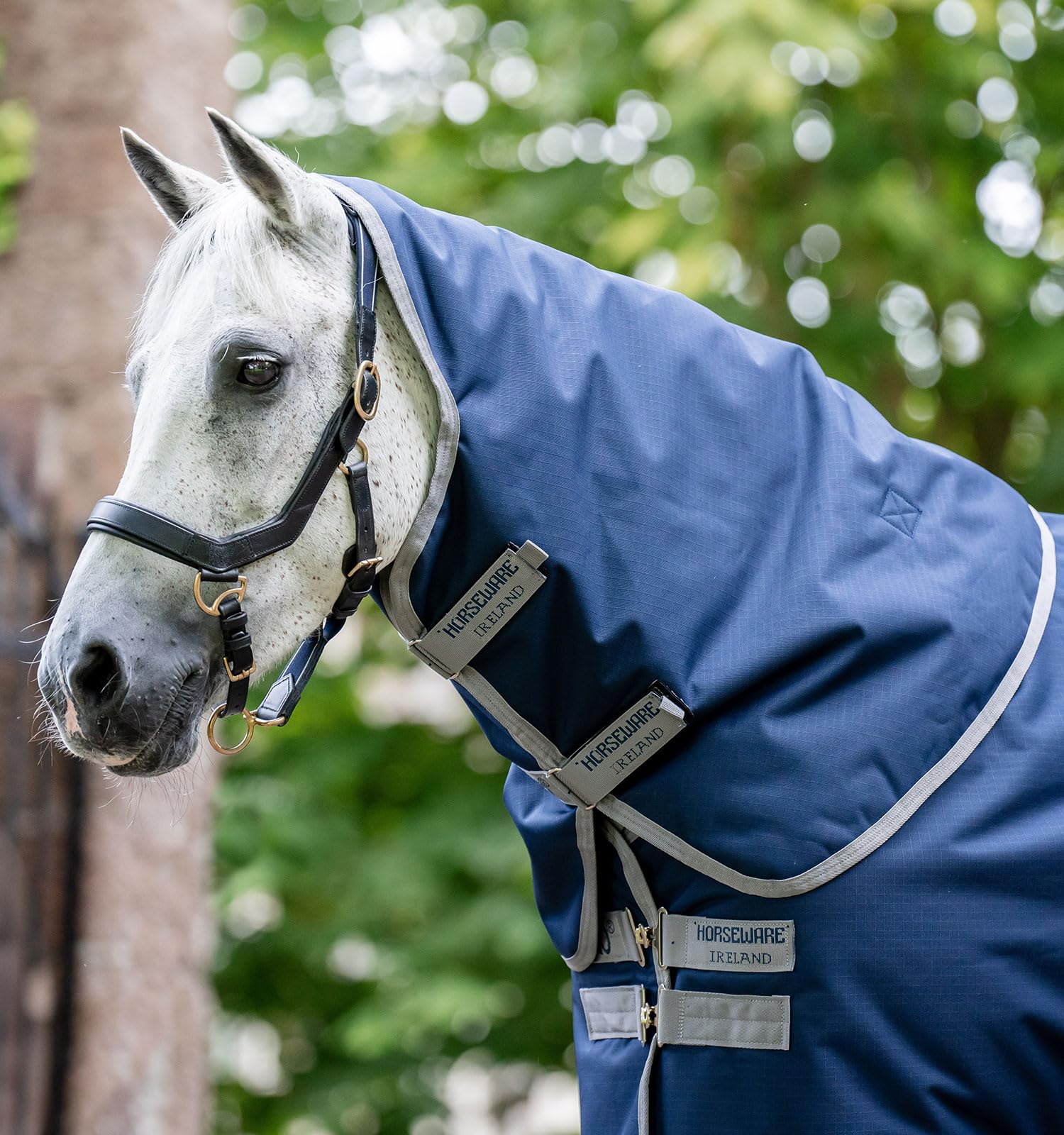 Horseware Amigo Ripstop 900D Plus Turnout 100g Weide Decke mit Halsteil Navy/Titanium Grey