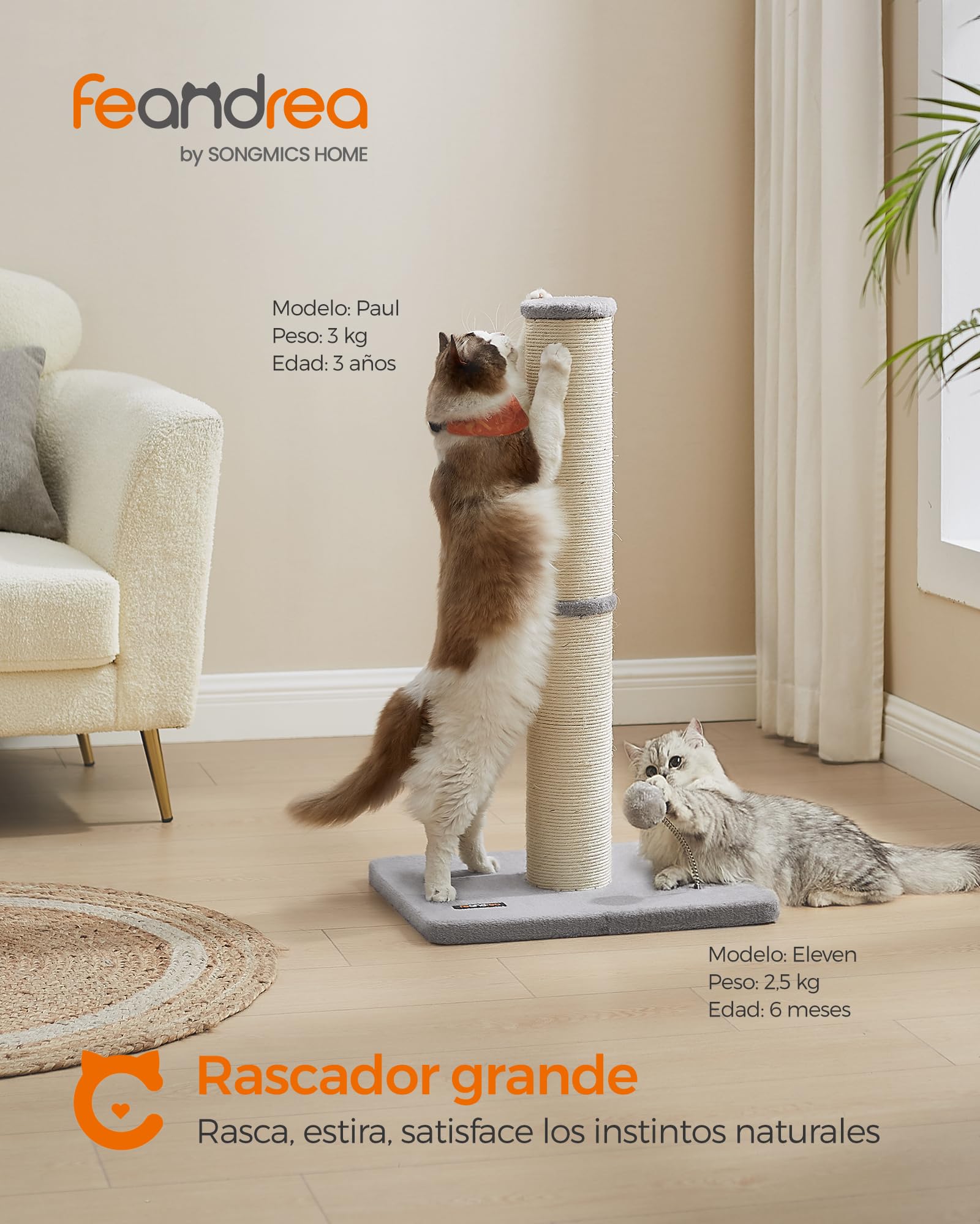 Feandrea Poste Rascador para Gatos, 85 cm de Alto, Gatos Medianos y Grandes, Poste Rascador de Sisal, Pompón de Muelle con Campana, Gris Paloma PCA041G01