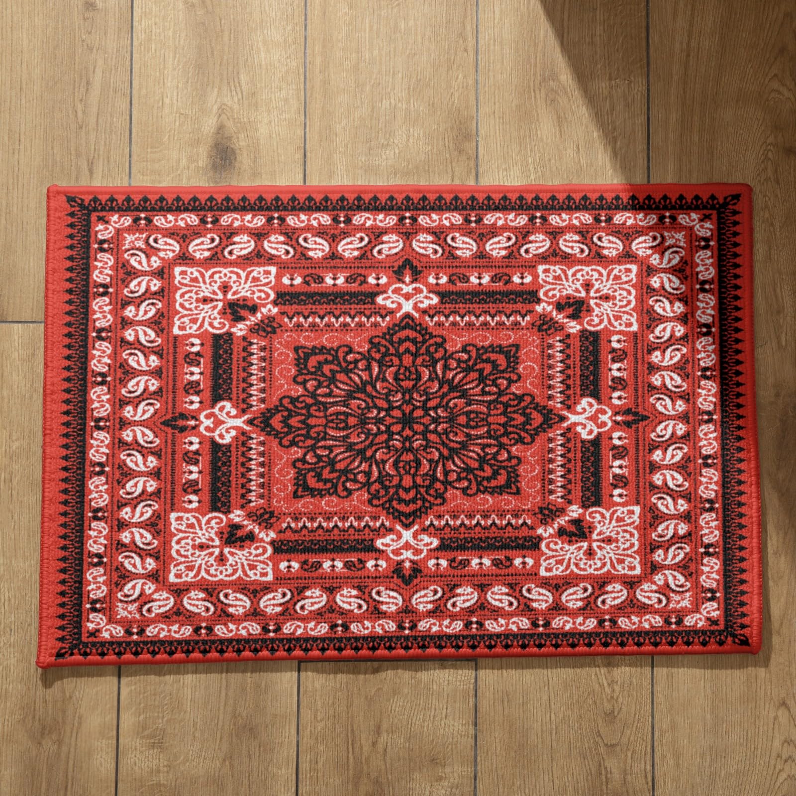 Tapis d entree interieur style retro europeen qualite CEVAN