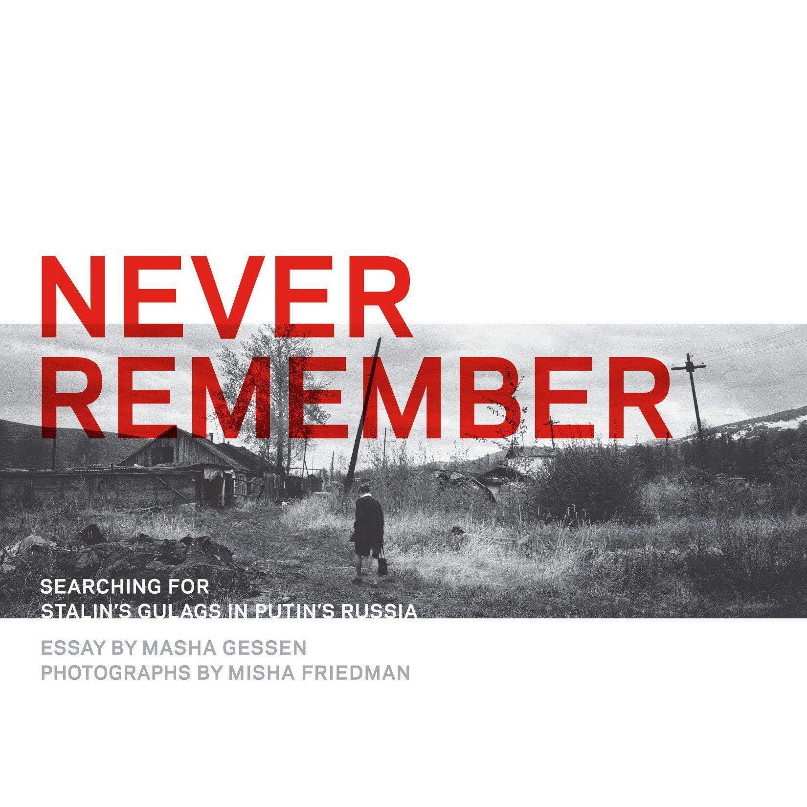 Cover art for Never Remember