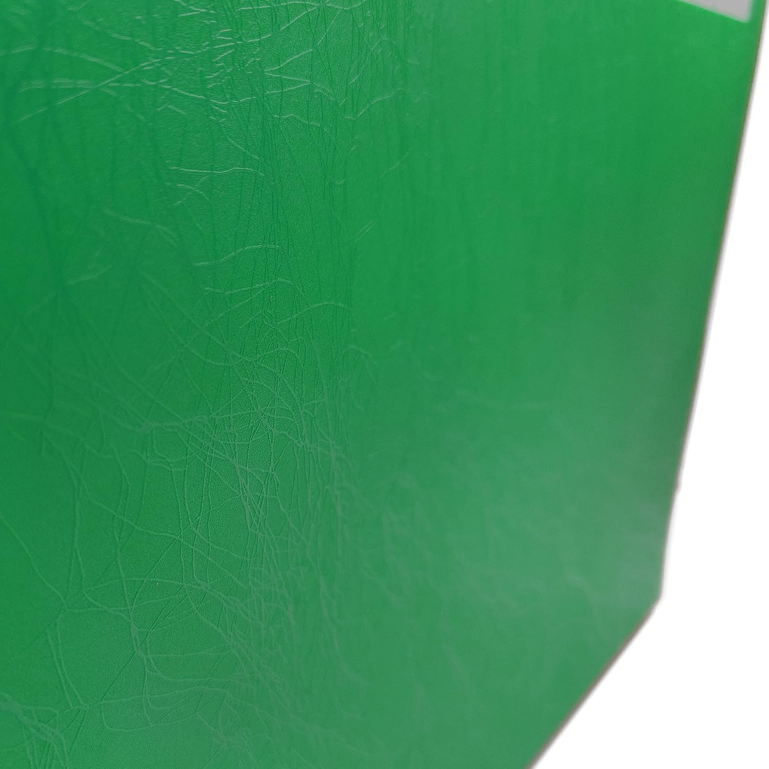 Raylu Paper® - Accordion Document Folder with 12 Compartments, Opaque Plastic File Cabinet with Dividers for Office (Green)
