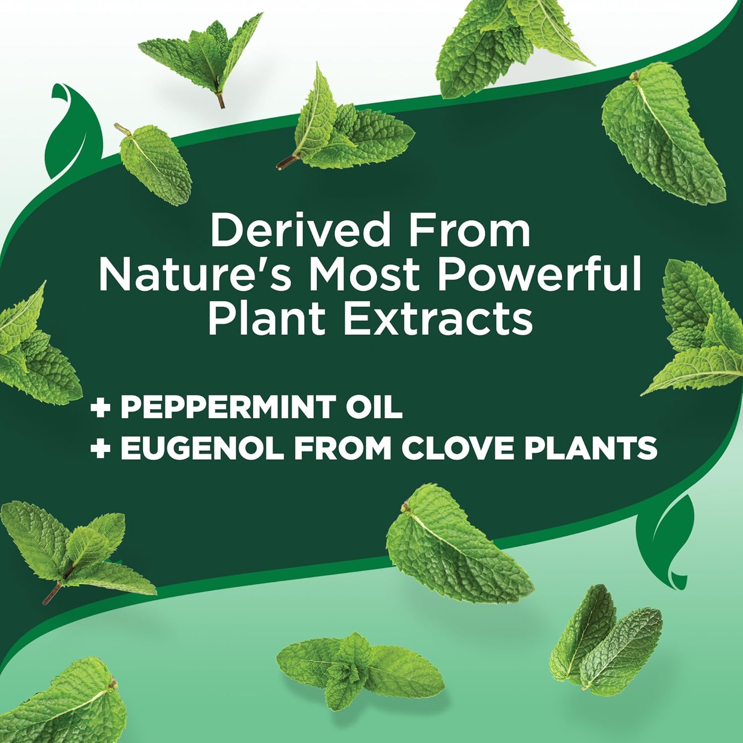 Vet’s Best Flea and Tick Yard and Kennel Spray – Natural Yard Treatment for Fleas, Ticks and Mosquitoes – Plant and Pet Safe Outdoor Spray with Certified Natural Oils – Made in USA – 96 oz Refill - Image 6