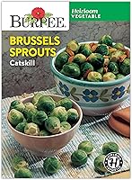 Burpee Heirloom Catskill Brussels Sprouts Seeds | Compact High-Yield Variety for Small Gardens - Non-GMO
