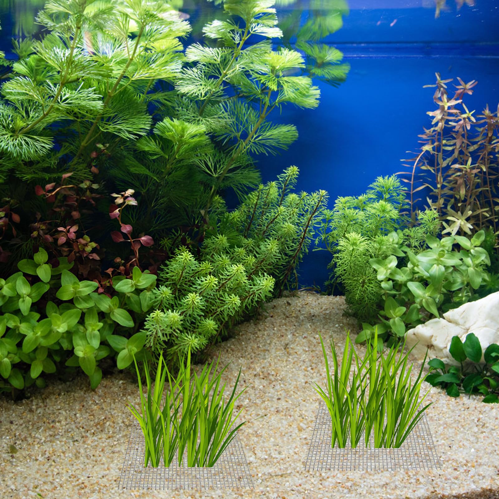 Filet en Acier Inoxydable Argenté 15pcs pour Mousse Aquatique et Java Moss, Maille Solide Résistante Accessoire Aquarium