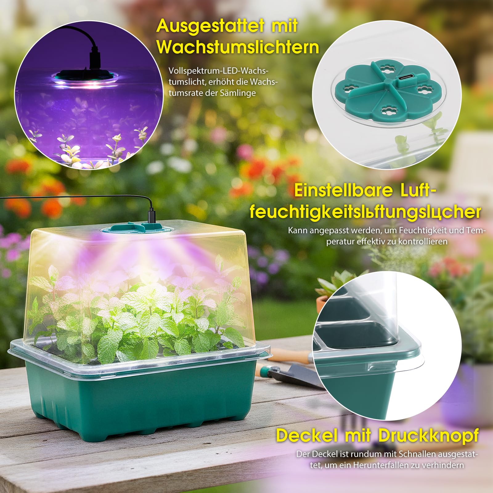 Anzuchtschale mit Wachstumslicht, 3 Lichtmodi Vollspektrum LED Pflanzenlampe, 5 Helligkeitsstufen Timer, Mini Gewächshaus für Fensterbank, Anzuchtset für Samen Kräuter Gemüse Stecklinge (6, Grün)