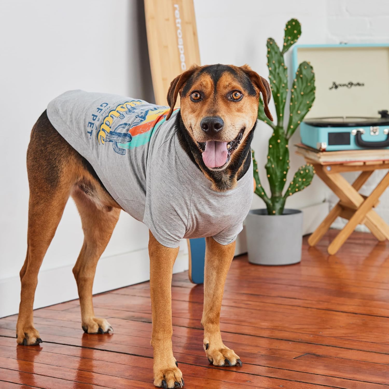 GF Pet - Graphic Tee Dog T-Shirt (Heather Grey, XX-Large)
