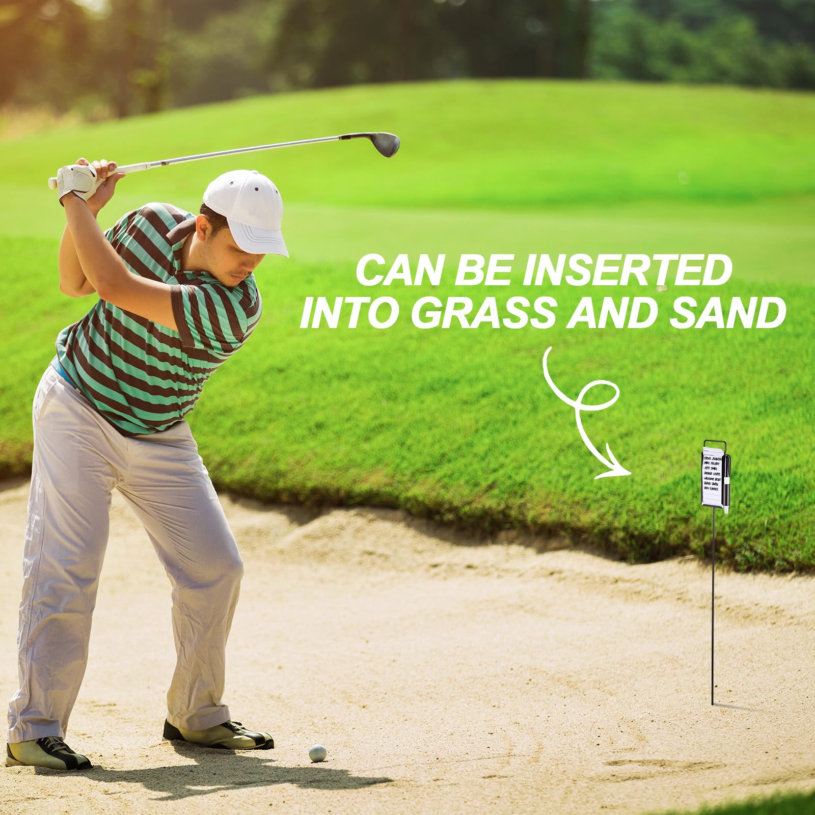 Auction Detail auction-detail