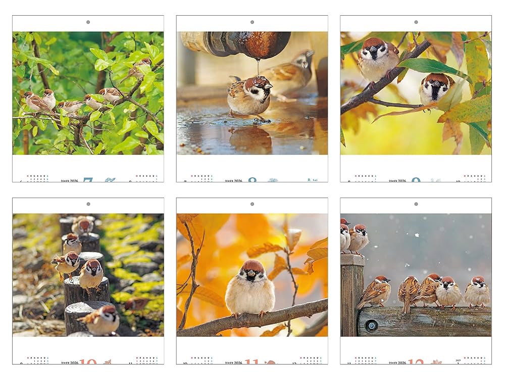 Amazon.co.jp限定】先着300個。開運！ふっくらまんまる福良