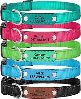 Aiseel Reflective Engraved Dog Collars ,Personalized Custom Nylon Dog Collar ,5 Colors , Adjustable for Puppy Small Medium Large Dogs (Nylon)