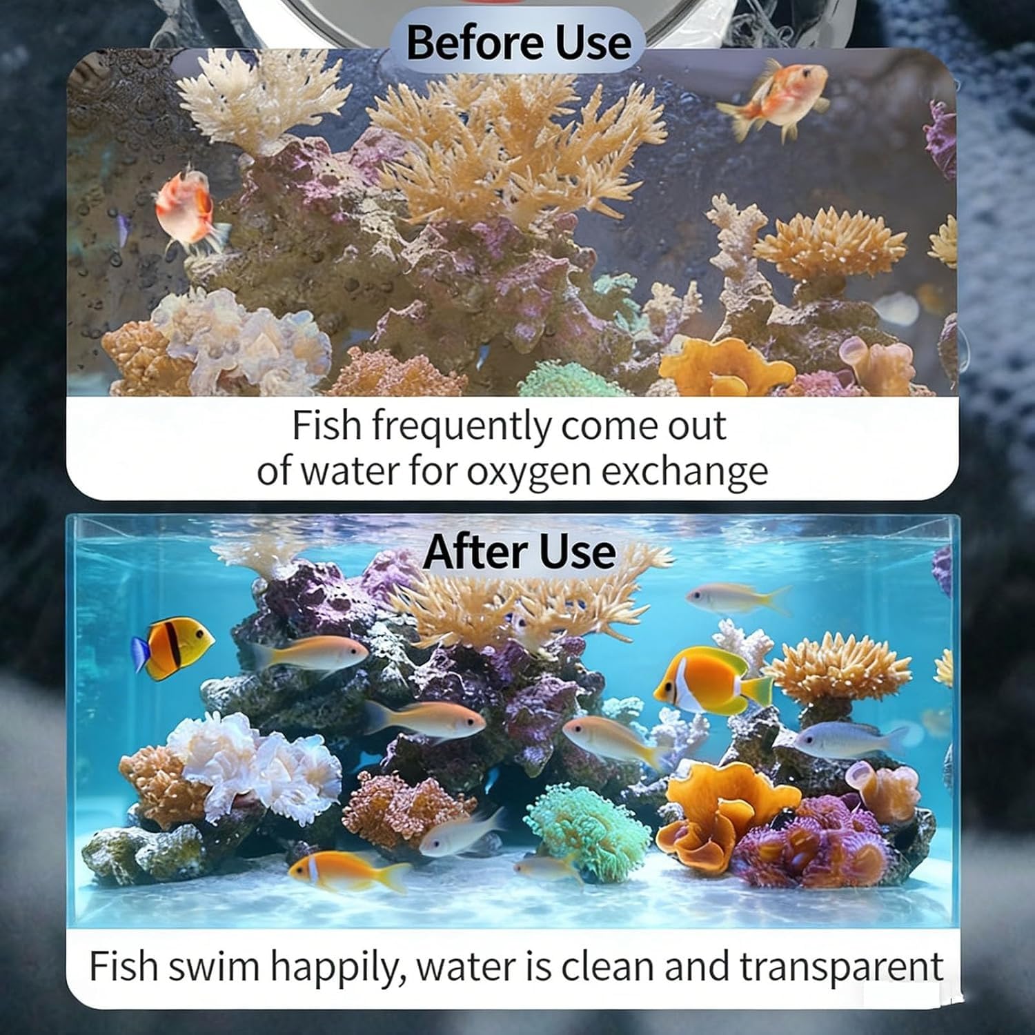 Aquarium-Protein-Skimmer für Aquarien, effizienter Abfallentfernungsfilter, integriertes Design, kein Strom erforderlich, ideal für Meeresfrüchte-Tanks, Aquakultur, 1-3 Tonnen Wasserkapazität