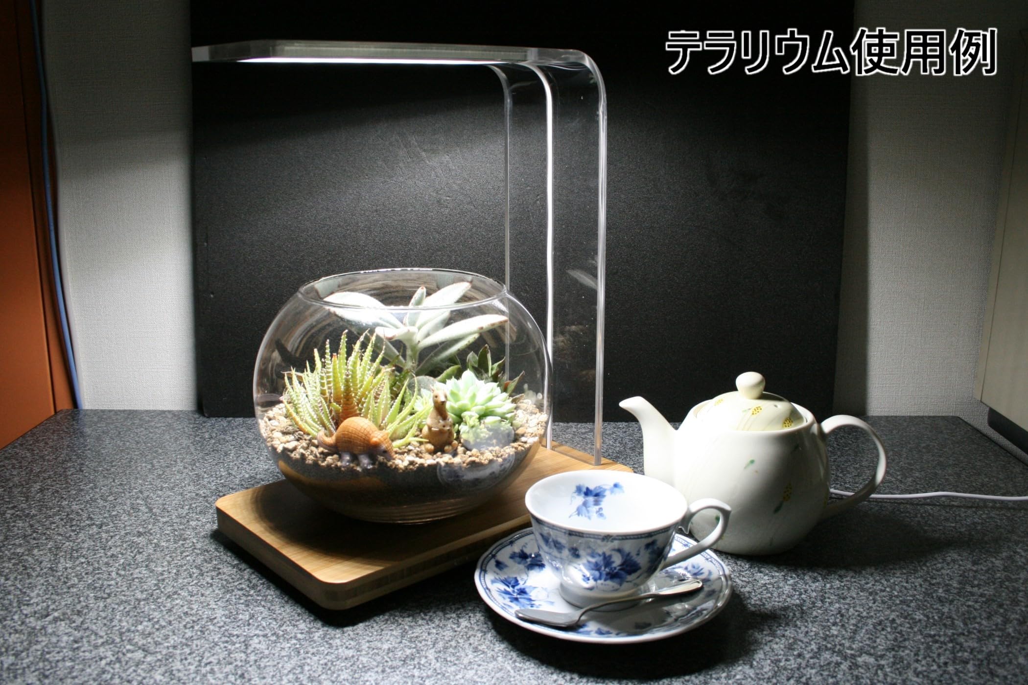 Amazon.co.jp: 植物育成 LED テラリウム・アクアリウム・ライト 手作り