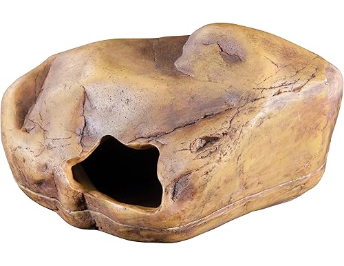 Top-Graded Exo Terra Reptile Cave: A Comprehensive Assessment