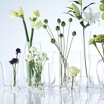 花卉23 Amazon.co.jp: LSA(エルエスエー) フラワーベース(花器) クリア